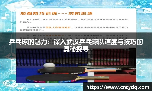 乒乓球的魅力：深入武汉乒乓球队速度与技巧的奥秘探寻