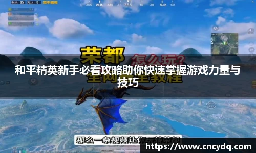 和平精英新手必看攻略助你快速掌握游戏力量与技巧