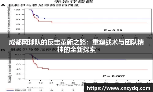 成都网球队的反击革新之路：重塑战术与团队精神的全新探索