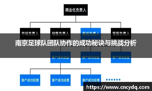 南京足球队团队协作的成功秘诀与挑战分析