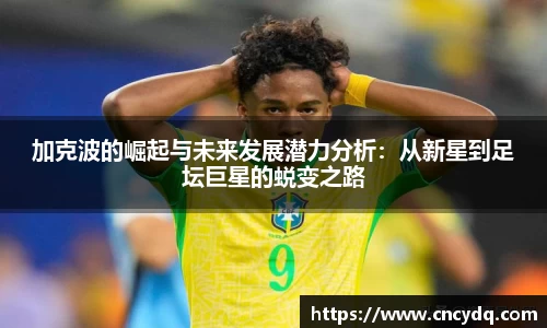 球速体育平台入口