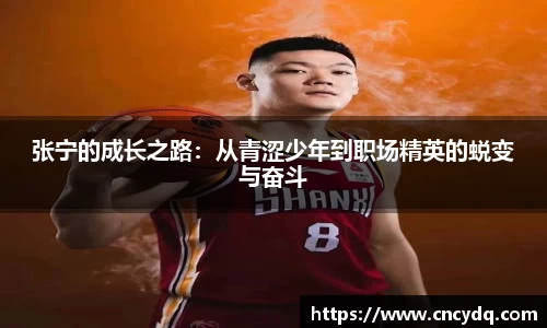 张宁的成长之路：从青涩少年到职场精英的蜕变与奋斗
