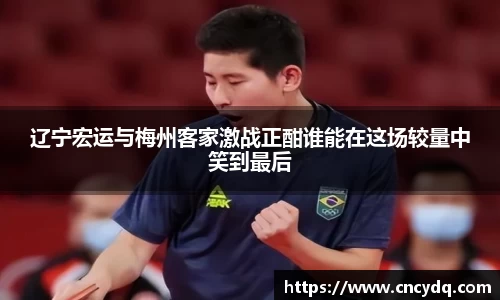 辽宁宏运与梅州客家激战正酣谁能在这场较量中笑到最后